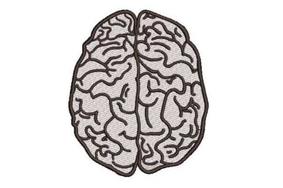 Human Brain Line Art Review